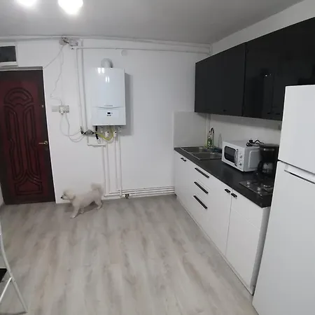 Straja Lupeni