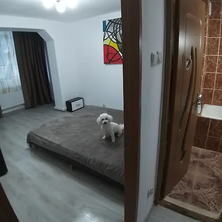 Straja Lupeni Apartment